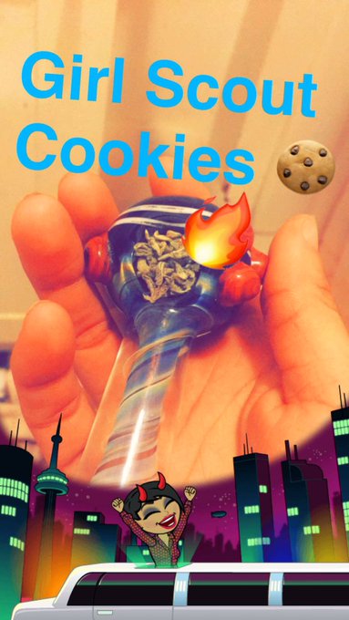 Having the best day ever ☀️☀️☀️#lovehim #ganja #SnapshotSunday #snapchat #Inlove https://t.co/xzdhan<a href="/tag/lovehim"class="tags">#lovehim</a><a href="/tag/ganja"class="tags">#ganja</a><a href="/tag/snapchat"class="tags"><span>#snapchat</span></a><a href="/tag/inlove"class="tags"><span>#inlove</span></a><a href="/tag/snapshotsunday"class="tags"><span>#snapshotsunday</span></a>