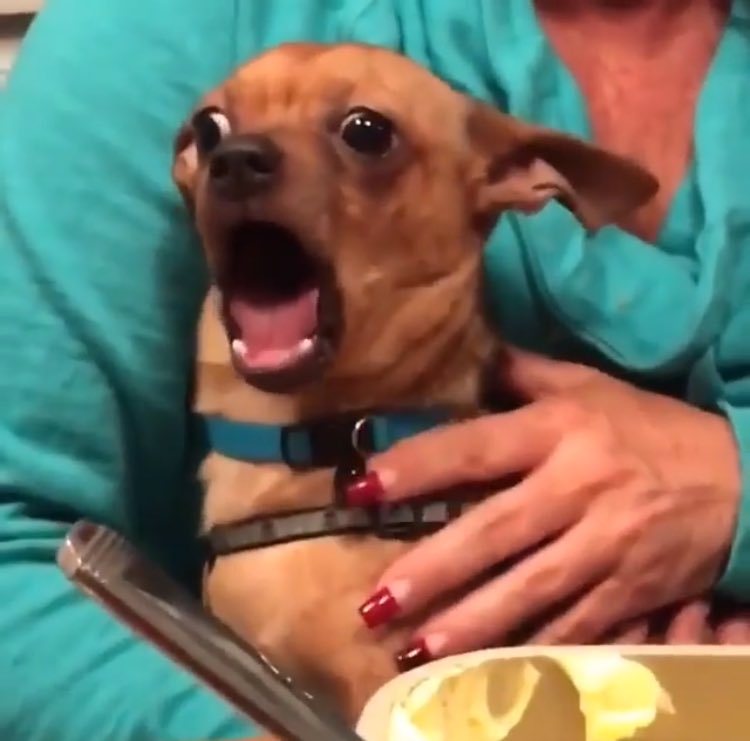 abbywarden_'s tweet photo. When ya just chillin n u remember it's Monday tomorrow https://t.co/zL0RotcZ2T