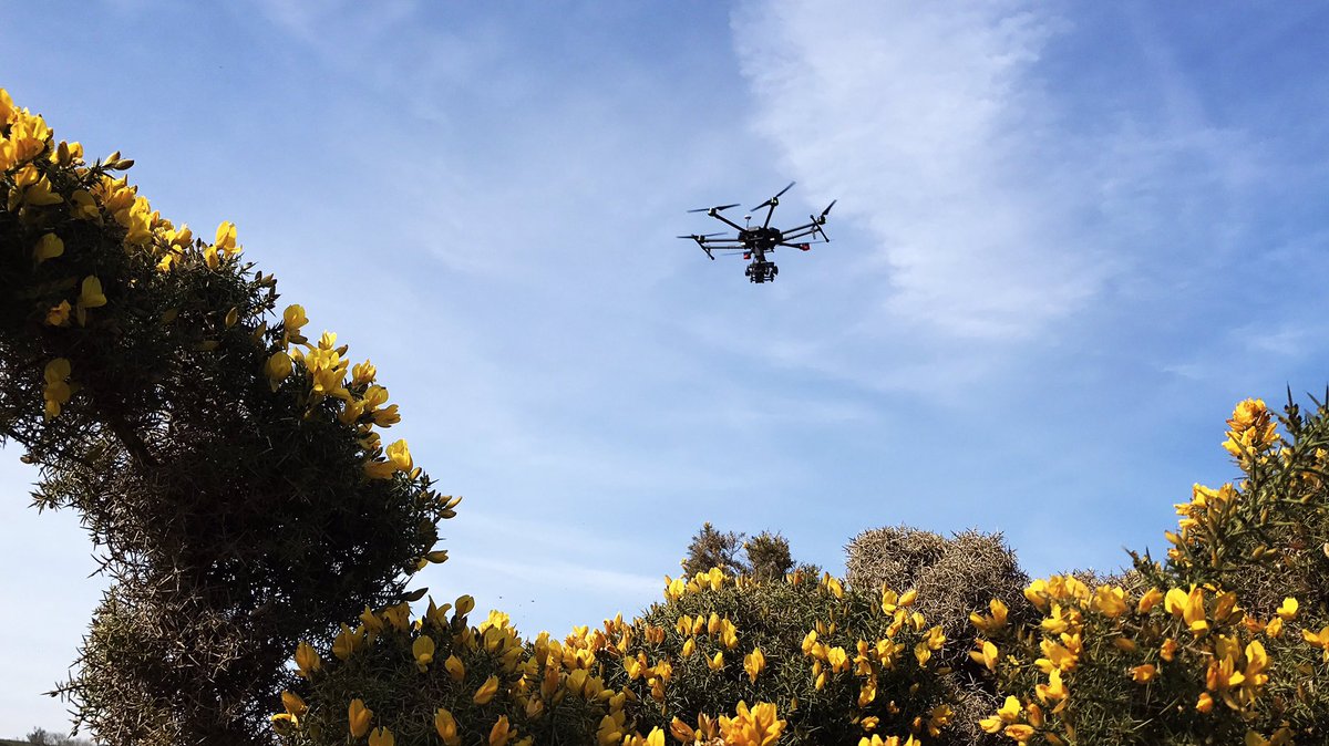 FlyonixUK's tweet photo. Beautiful Sunday stroll out with the #matrice600 #Devon #summertime https://t.co/KGr7ir8nJO