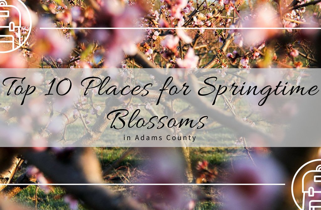 DestGettysburg's tweet photo. We’ve rounded up the Top 10 Places for Springtime Blossoms in Adams County! - https://t.co/sIdsakvEO4 #AuthenticAdamsCounty https://t.co/KbtTYXZxTk