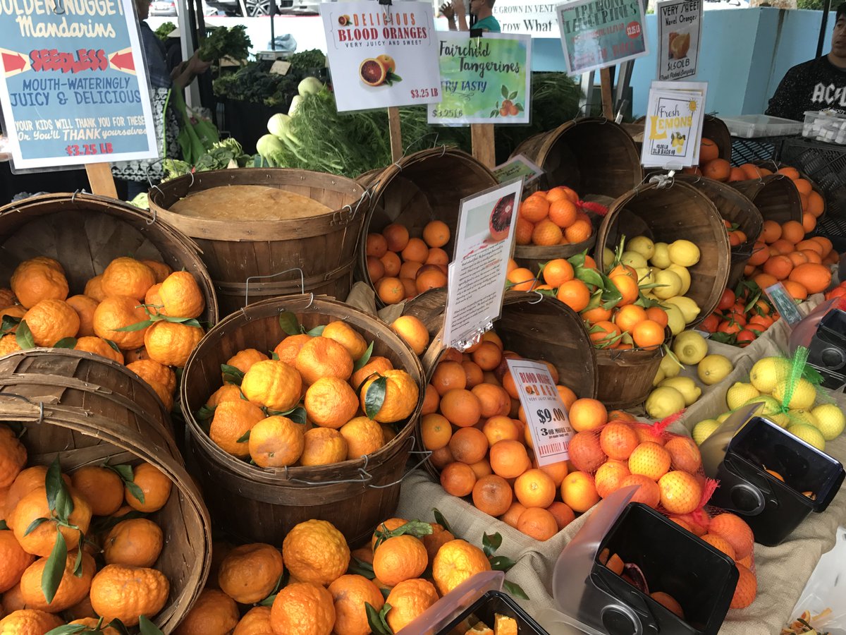 PacificPaliFM's tweet photo. Come join us at the market today and every Sunday from 8am-1pm! Buy your fresh produce from local farmers🍋🍓Located at Palisades High School! https://t.co/wApj34xSk6