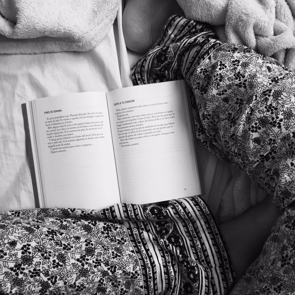 patriciaortizpr's tweet photo. "Dicen que los domingos son los días donde las personas más profundamente piensan...Dicen que son días de no quitarse el pijama..."
Defreds https://t.co/BbeWcfH4Mb