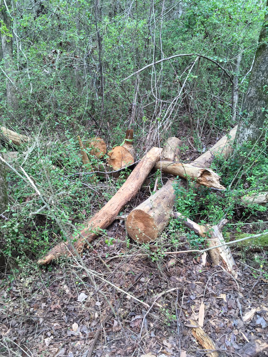 stroudlibrary's tweet photo. Trail cleanup https://t.co/EgUk66ZmmQ