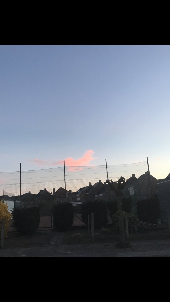 sofiexx's tweet photo. @frankdeboosere 
Not seven horses in the sky but I found one in #Lede https://t.co/4Q63uR8plh