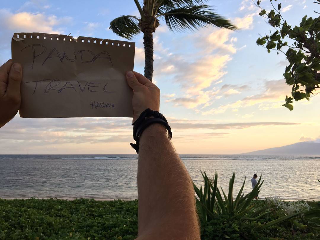 marialarcon378's tweet photo. Y a ti? ¿Donde te gustaría estar acabando tu fin de semana?Hawaii por ejemplo?

Eso está haciendo nuestro amigo @pablotelloa
@pandatravelma https://t.co/m9Rj1lhAIv
