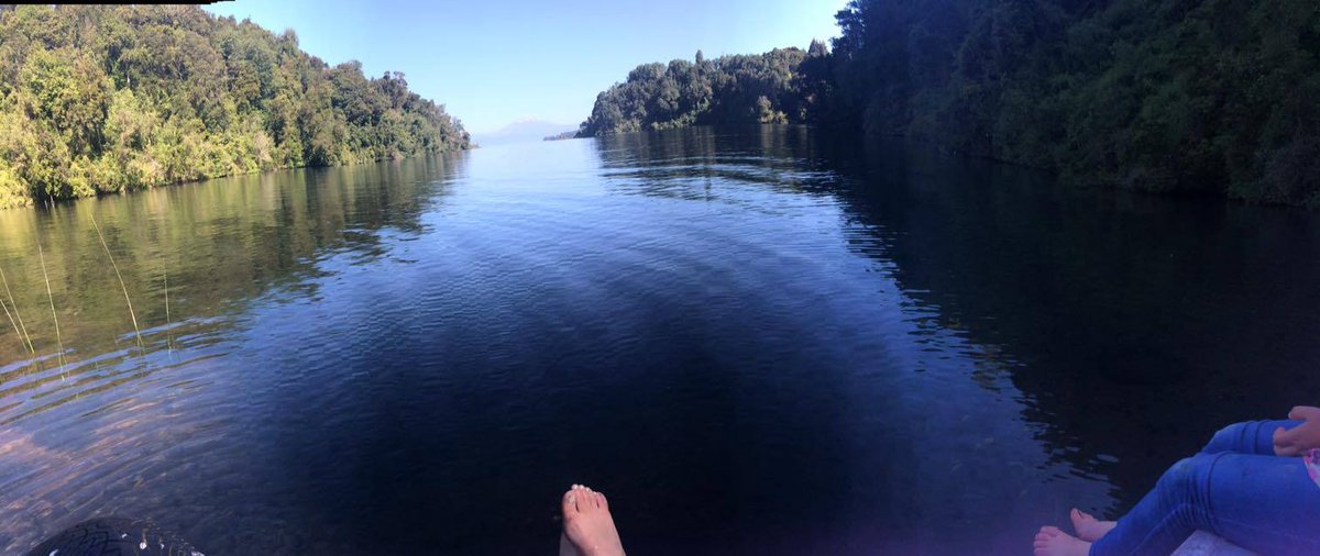 alsurdechile's tweet photo. Bajada al lago en #Quilanto, en el camino entre #PuertoOctay y #Frutillar
Gentileza: Laura Jiménez #surdeChile https://t.co/aMAnAlA9oo