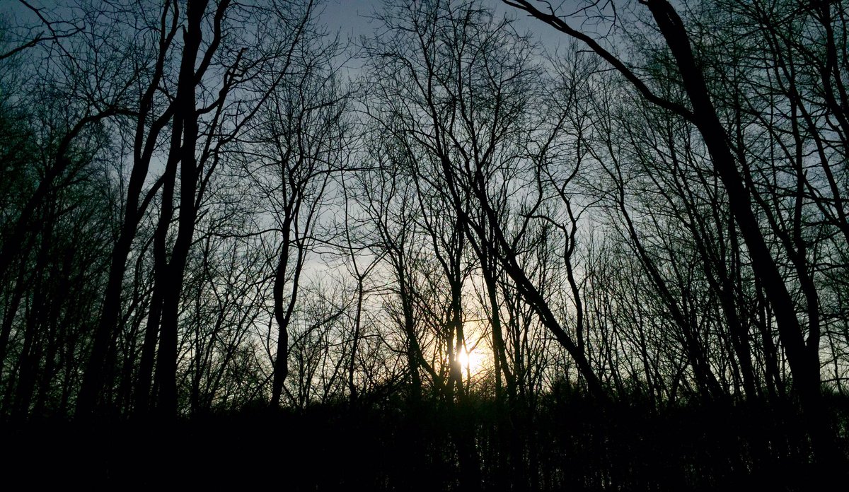 LeSaintBougon's tweet photo. #SortieDominicale 🌳🍁 https://t.co/nWntWVDore