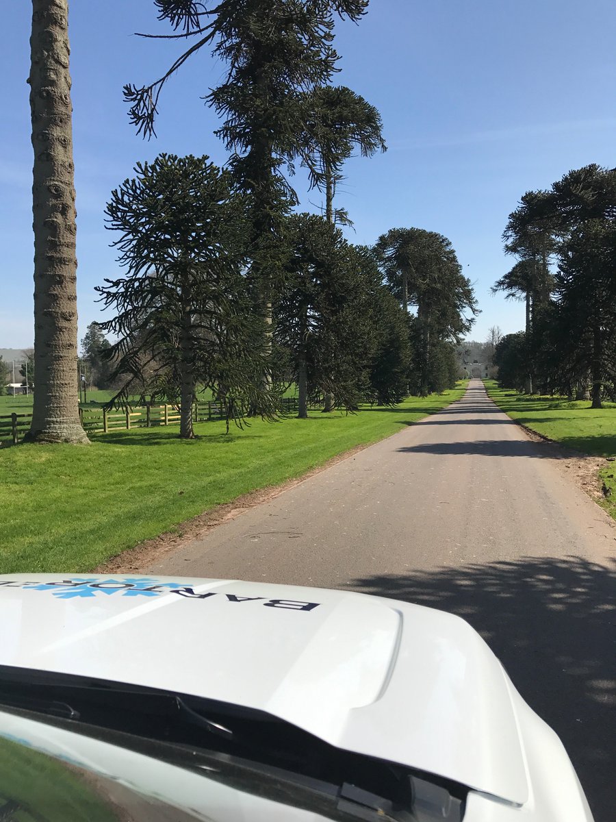 BartorelliLtd's tweet photo. A very busy weekend at Bartorelli's! #bartorelli #refrigerationservice #HVAC #blueskies https://t.co/xTjp3lJnF6