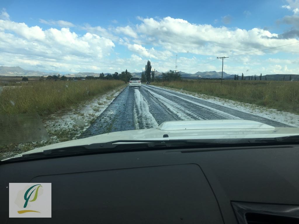 Vrystaat Landbou tweet media