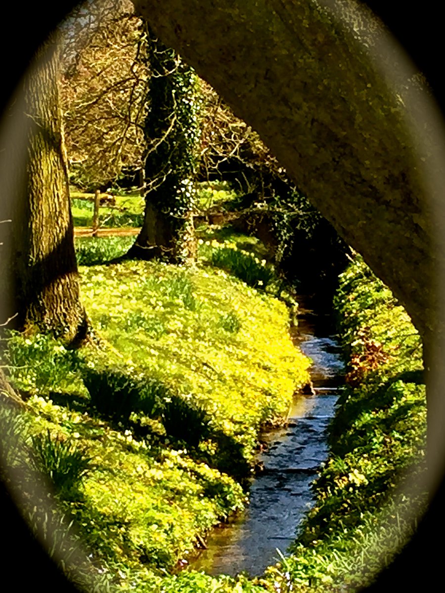 HallHindringham's tweet photo. HH Gardens open this Wednesday (10-1) then every Sunday(2-5) and Wed until October. We look forward to seeing you.#gardenstovisit#gardeners# https://t.co/fOjKwXjSt5