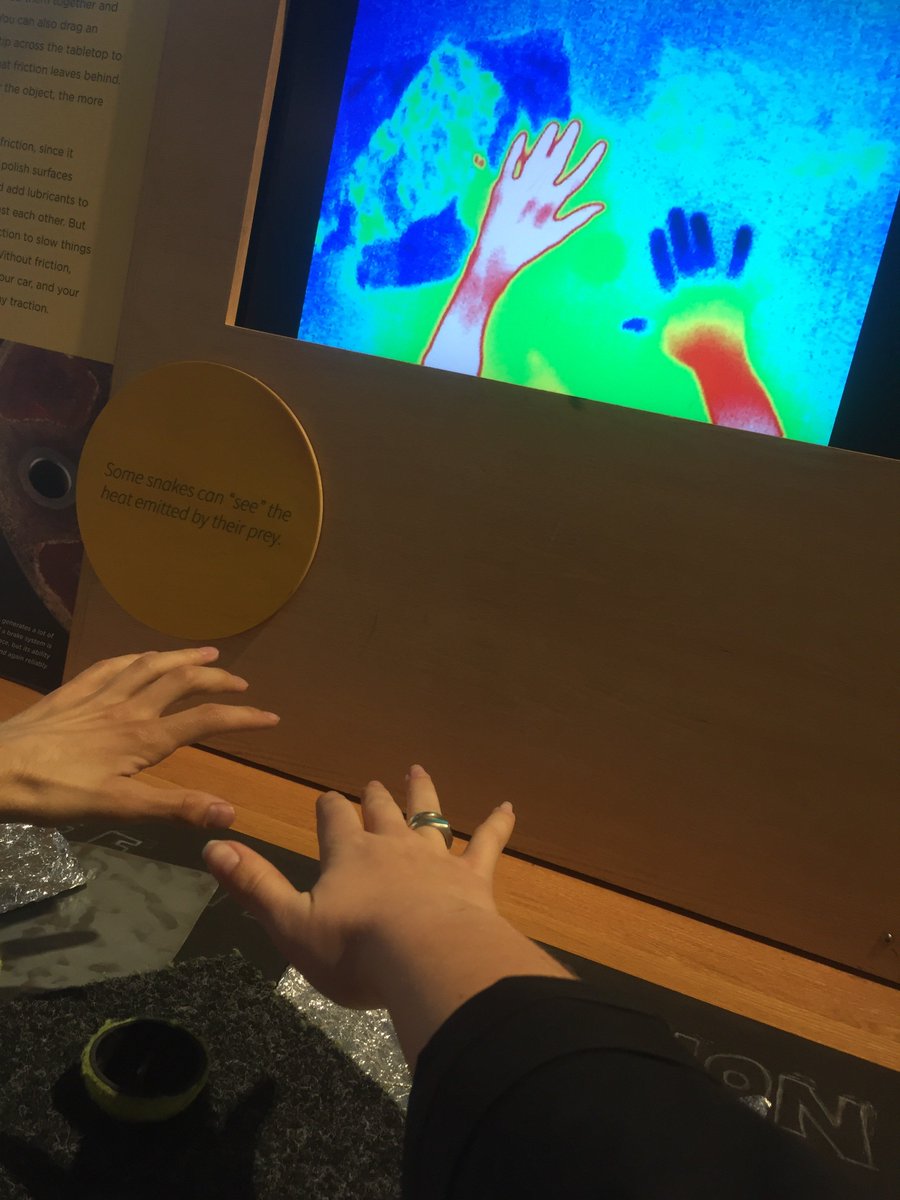 ktodd16's tweet photo. Infrared heat sensors between #ablebody and #incompletequad .. implications for #neuropathicpain ?? #telusspark https://t.co/ap0sYnbpFI