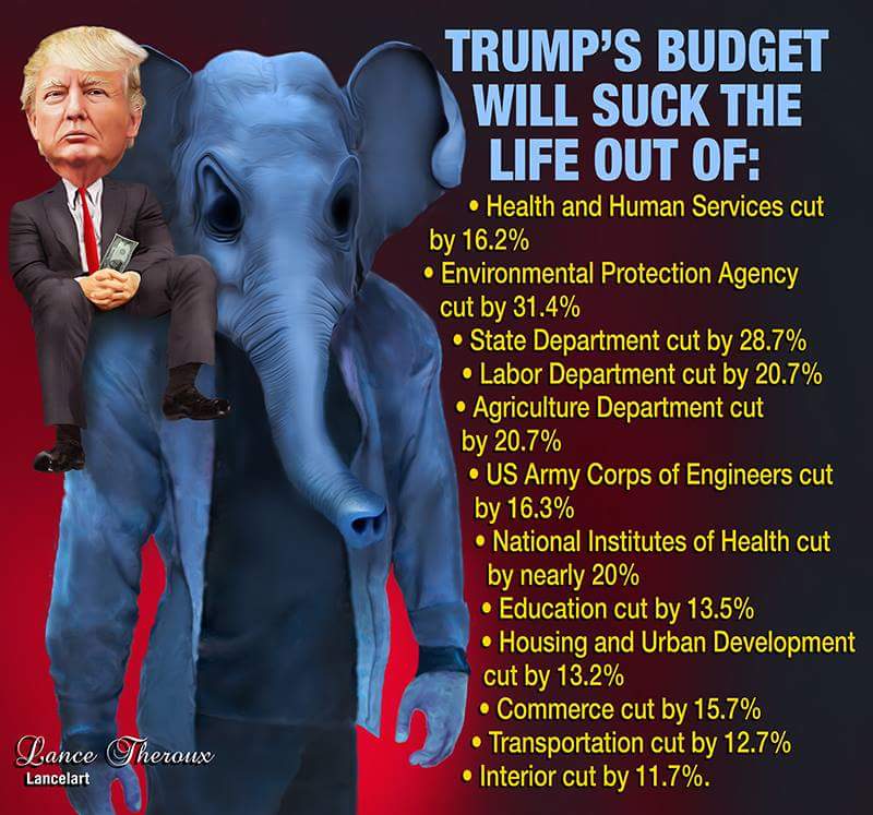 TomthunkitsMind's tweet image. trump Sucks.