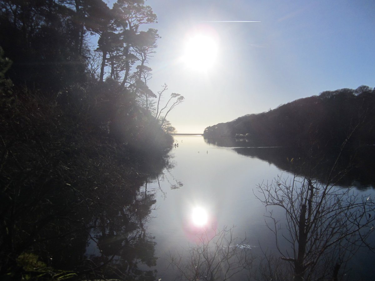 Get off the beaten track in Cornwall #feelgoodinnature @ILoveCornwallUK @VisitingKernow #çornwall #youcanttakeababy