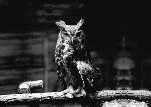 AniaBones's tweet photo. •"It's just a cruel existence 
Like there's no point hoping at all"• https://t.co/lb0VTLoF45