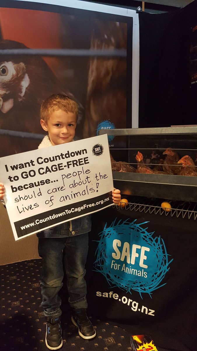 CageFree_Future's tweet photo. This kid knows what's up @woolworths. Drop your support of cage eggs at Countdown. #countdowntocagefree https://t.co/2sDoq1GOgB