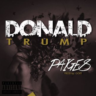 MTVBaseSouth's tweet photo. #HeatSeeker | 'Donald Trump'  @TheRealPaigesSA https://t.co/gCEPW6qTu7