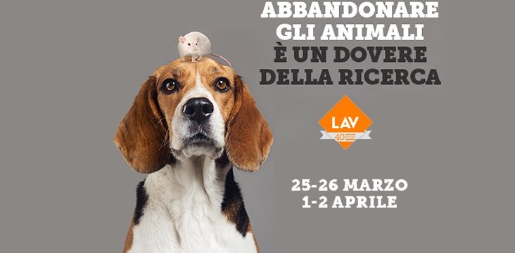 Francesca De Matteis tweet media