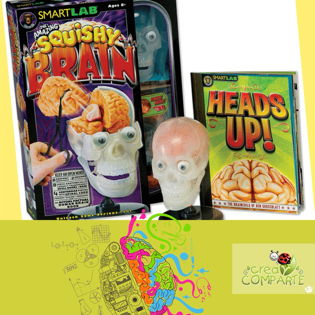 CreayComparte's tweet photo. ¡Yo quiero uno! Squishy Brain, el cerebro y los ojos están hechos de una mezcla de squishiness, hace que tengas una experiencia realista https://t.co/cIYBucMHMe