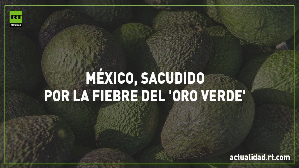 ActualidadRT's tweet photo. Los ingresos como resultado de las exportaciones de aguacates superaron las cifras de los hidrocarburos https://t.co/H2g3gcc9sA https://t.co/e9zt9rZE4C