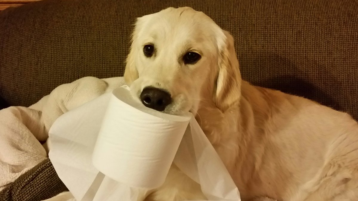 FromHagsMind's tweet photo. Ummmmm...........we have a situation in the other room, and you're going to need this. https://t.co/kP5QwdID44