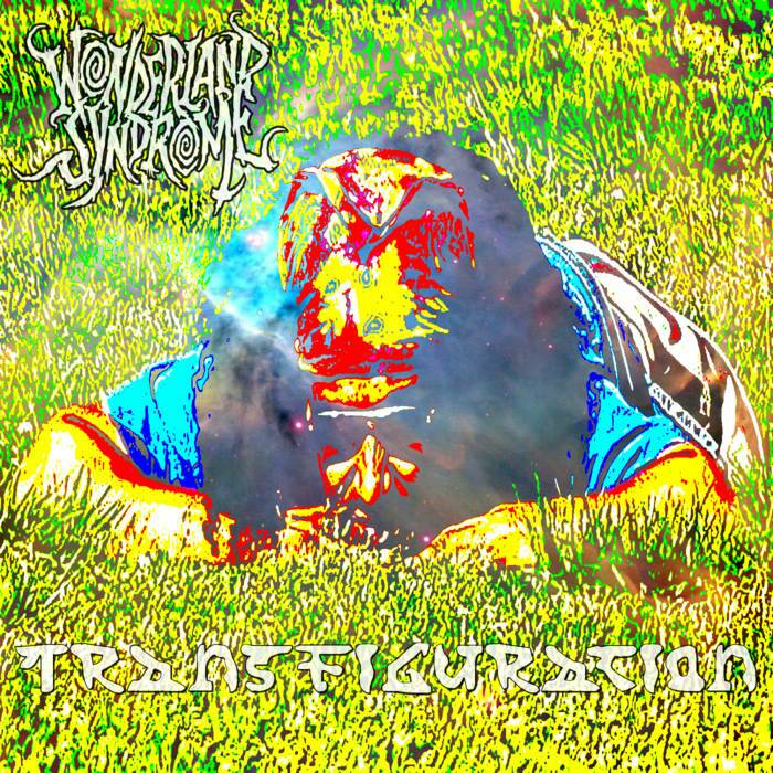 Wonderland Syndrome tweet media