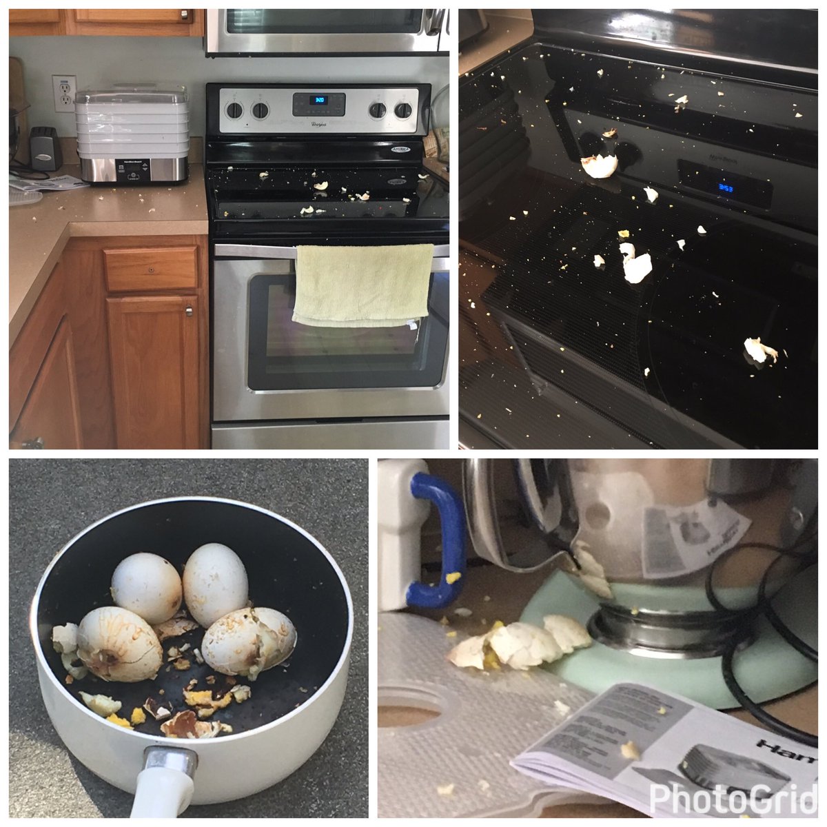 lovemymalteez's tweet photo. When you forget you have eggs boiling.. #oops @earslikedumbo #lipshitz #eggsplosion #mess #eggs https://t.co/kosDIIQ0BA