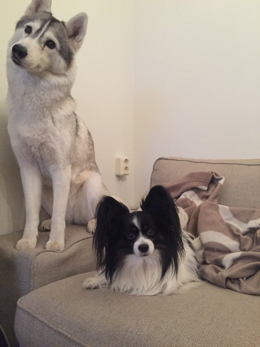 Clarissa Jordan (singmelove) Twitter