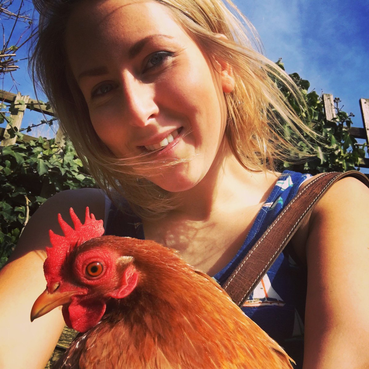 Steph_Social's tweet photo. Beautiful day in the garden βοΈπΊππ #chickenowner https://t.co/Ul9pbA4CFf