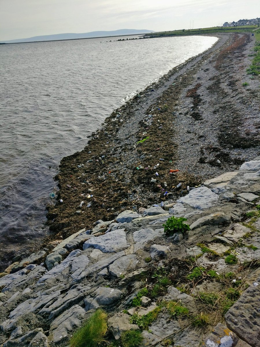 SharonInGalway's tweet photo. @GalwayCityCo Cans all along the beach by Nimmos pier. A serious problem in Galway. Terrible for tourists coming to see our "lovely" city https://t.co/jXfa4anrnF