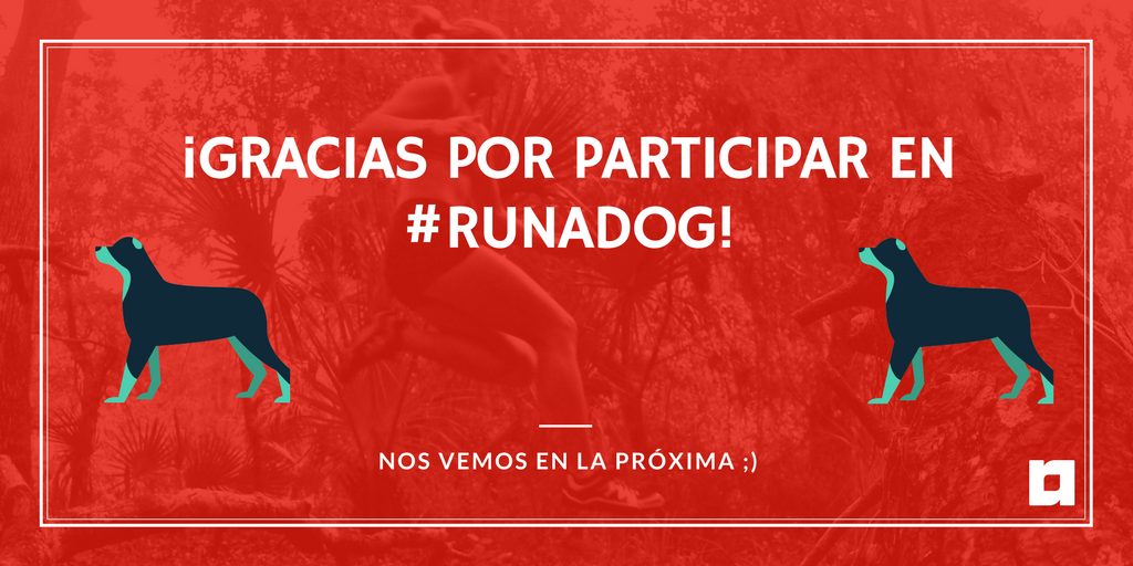 runator's tweet photo. ¡Aún queda un ratito, pero os queremos agradecer ya vuestra participación en #RunaDog!

Pronto, novedades sobre la 4ª Carrera del Circuito 🙊 https://t.co/qHcclXdPYy