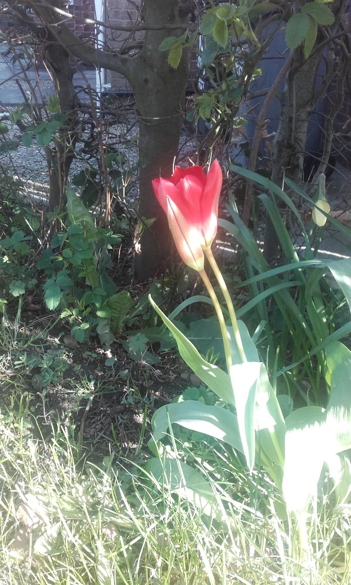 FieldEast's tweet image. 