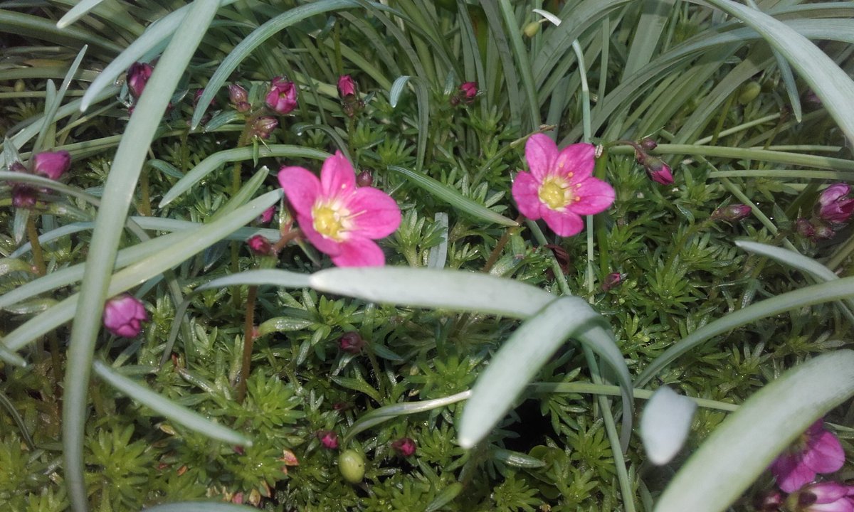 FieldEast's tweet image. 