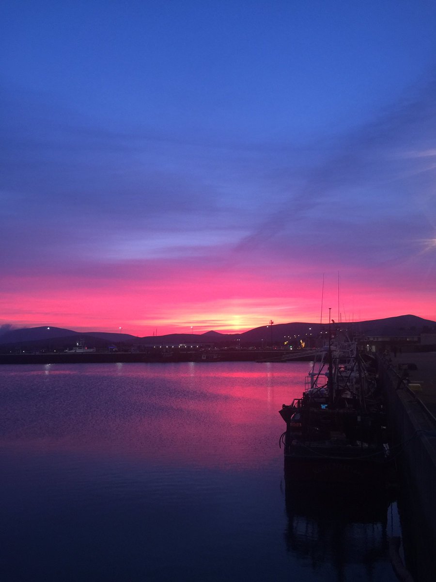 Aoife Granville tweet media