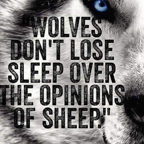 eaglewolf82 tweet picture