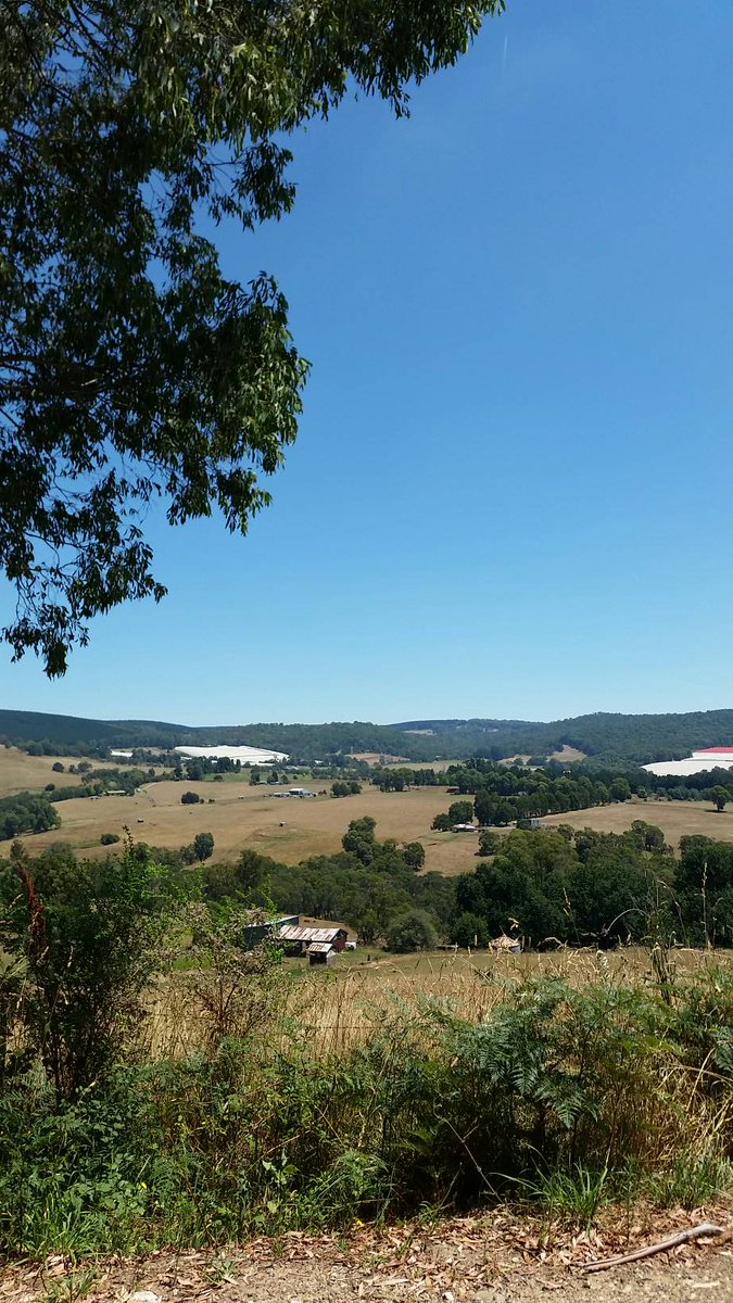 Batlow CiderFest tweet media