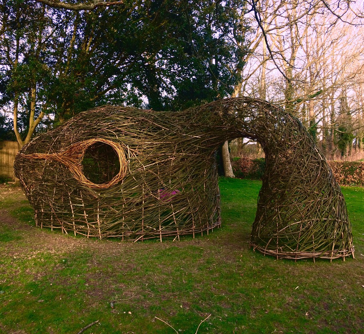TwoCDesign's tweet photo. #installation @FarleysHG #dicotlydon #skyseed #circinate Vernation #2017 https://t.co/Pxl8lytgzq