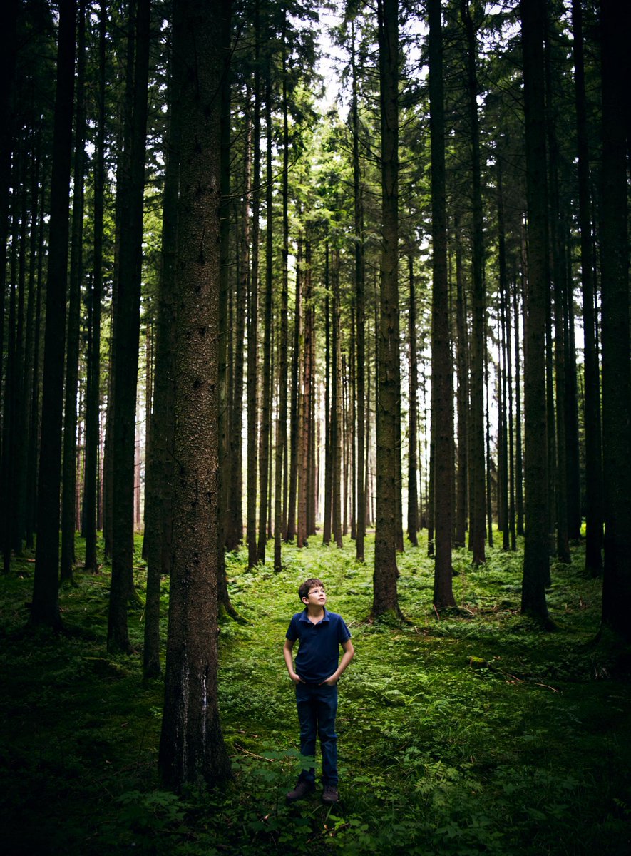 AMAZING!!!!! Teenager Is on Track to Plant a Trillion Trees crwd.fr/2mzTUL5