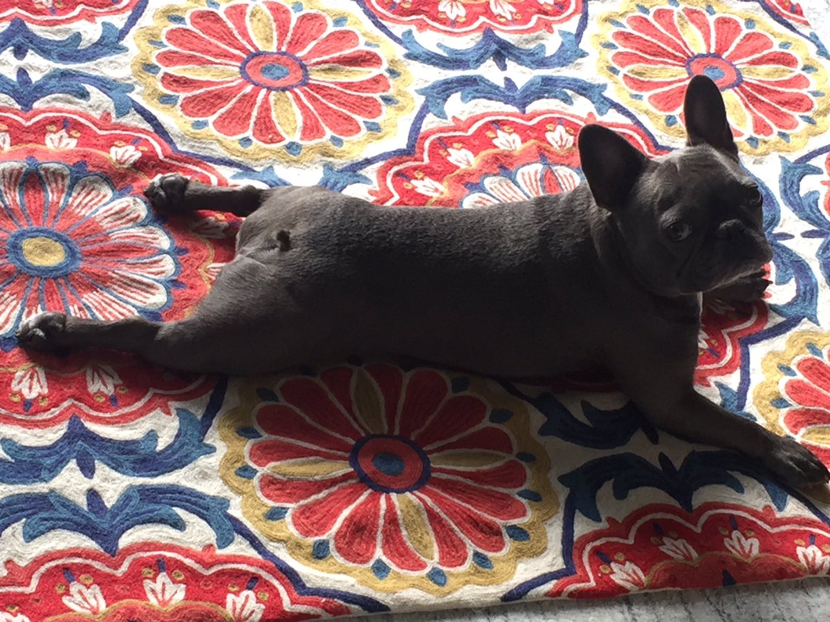 SmokeyYeley1's tweet photo. "Paint me like one of your Frenchies".   Channeling Titanic!!!! Lol https://t.co/rr6g7aq6Py