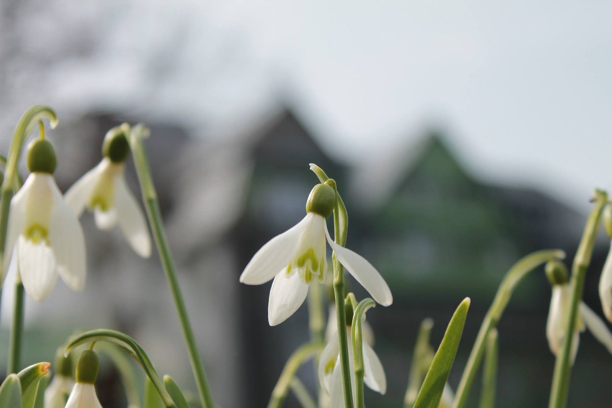 gabelbach's tweet image. Nach über 6 Jahren Pflege der Seite auf Twitter darf ich mich recht herzlich
von Ihnen verabschieden. Danke für Ihr Interesse. Kai Hesbacher