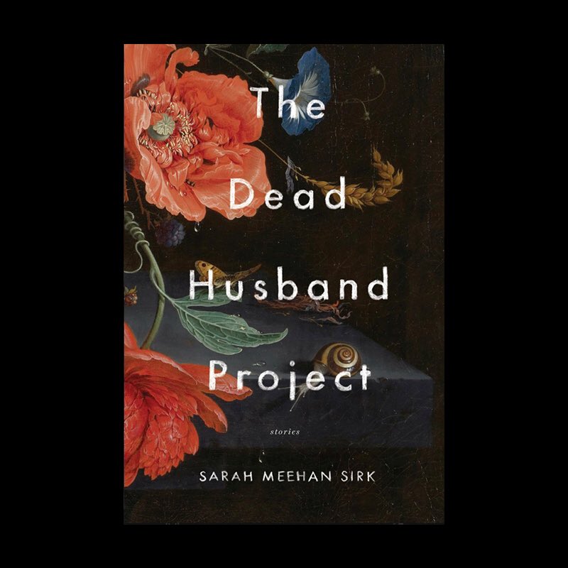 cjsart's tweet photo. The wonderful @smsirk has her first book out - August 8th. So excited. https://t.co/EdfDsLeY9J https://t.co/dNJGZAPztn