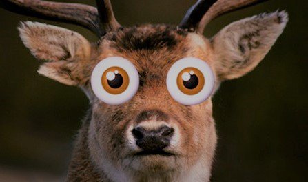 MLeitzmann's tweet photo. This Recruiter Needs a…Recruiter? https://t.co/dcwHtYC7jh #recruiter #recruiting #jobhunting https://t.co/fcL0tMAtrv
