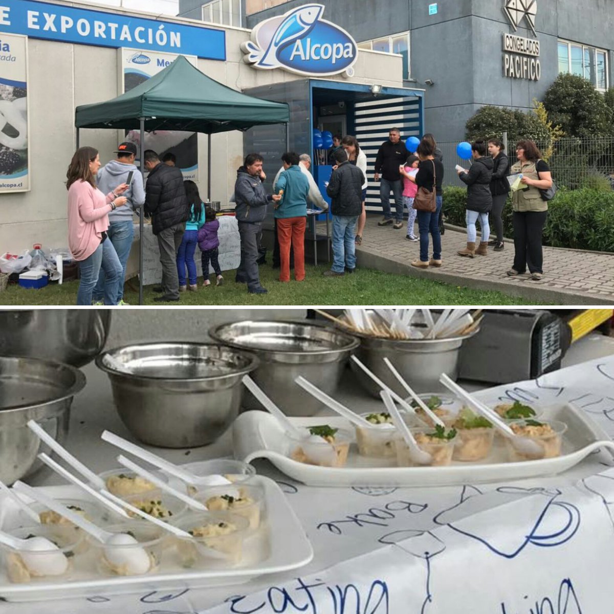 pacific_blu's tweet photo. PacificBlu continúa con Sabores #Alcopa en Vivo en Semana Santa. Este sábado 25 marzo, 1 y 8 de abril. Degustaciones de 10.30 a 14:30 hrs. https://t.co/cTQSVYZ8qP