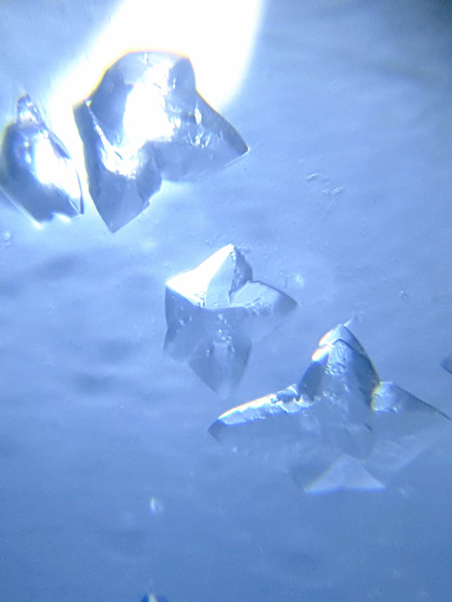 Niki 💎🧬 🦠 tweet media