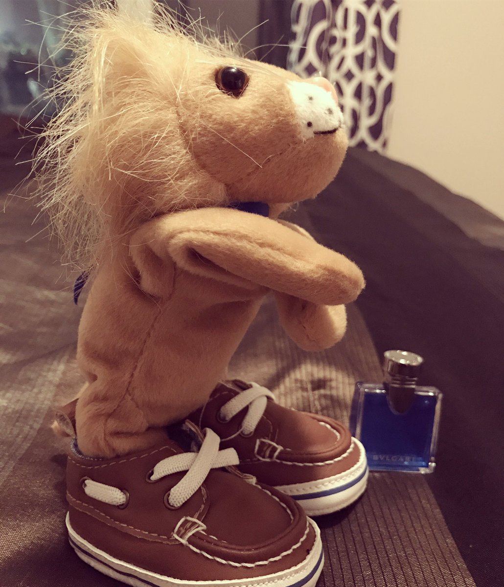 FDA_QRC's tweet photo. Loyal, leaders & global thinkers some of the reason why FDAQRC is known for. Which is why 🦁 is our brand ambassador #ROARfdaqrc https://t.co/zewo3XjuRU