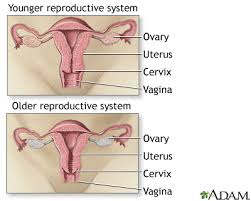 Casandra Suarez (@infomenopause) on Twitter photo 