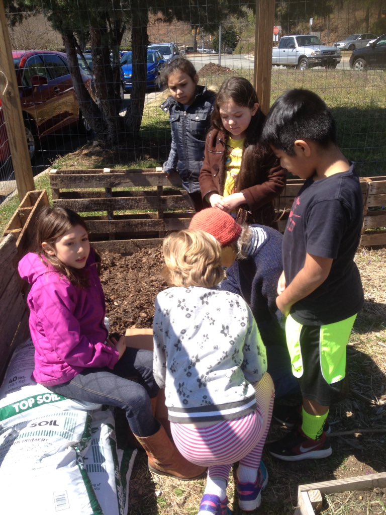 FPGGarden's tweet photo. We planted potatoes with second graders last week after learning about the origin &amp; diversity of potatoes in Peru! #fpgleones #schoolgarden https://t.co/tfRIM3Gcbz