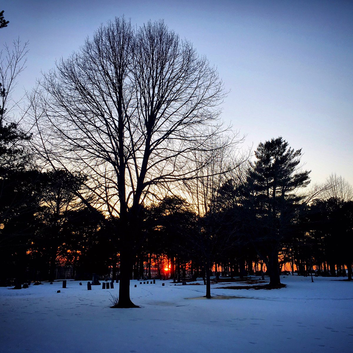 jennylmccarthy's tweet photo. Western Prom sunset Portland,ME #portlandme #sunset #beauty #cemetary #doesntfeellikespring #needsummersobad https://t.co/3cfL1dur0m