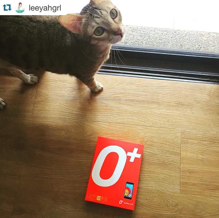 Good vibes! When your cat is in the way of the only available natural light source in your house. #LifeWithCats #BloggerProblems #OplusUSA