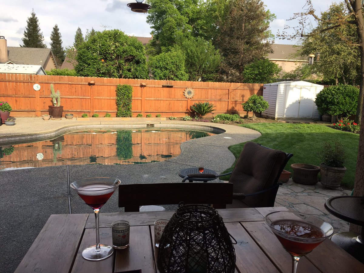 Gotta love the CA spring-time, just chilling in backyard.