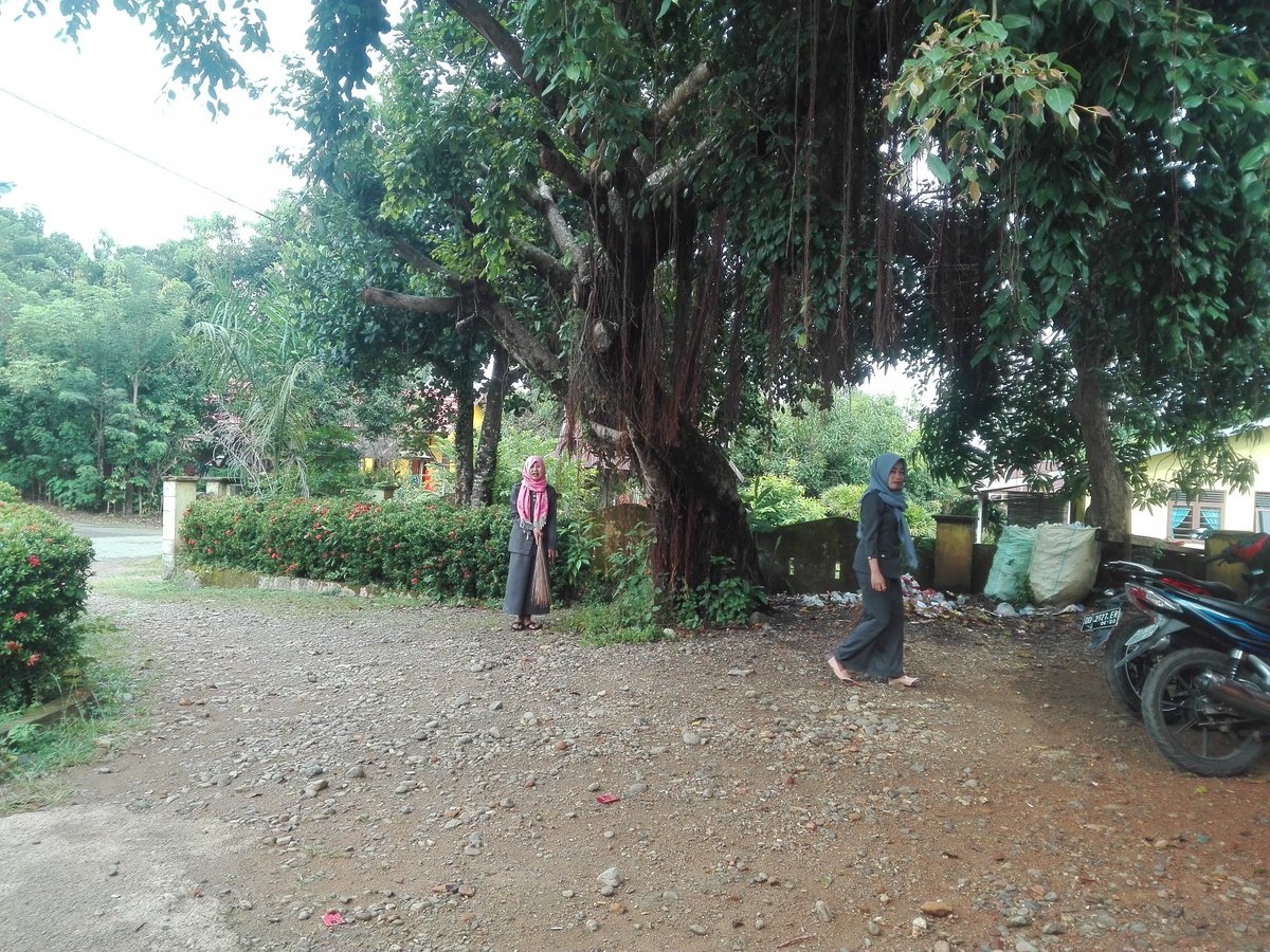 Selamat pagi tweet desa....